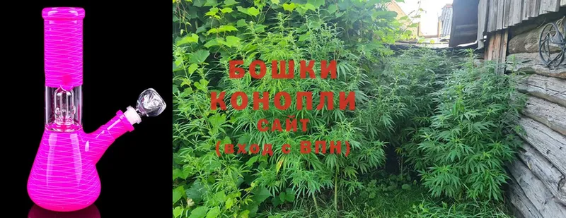 Бошки Шишки Ganja  Владимир 